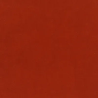 Plush Velvet Paprika swatch