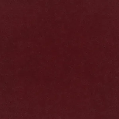 Plush Velvet Ruby swatch