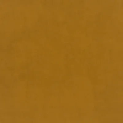 Plush Velvet Turmeric swatch