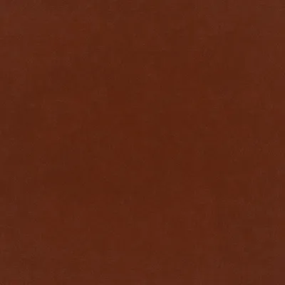 Plush Velvet Umber swatch