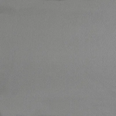 Potala Pewter swatch