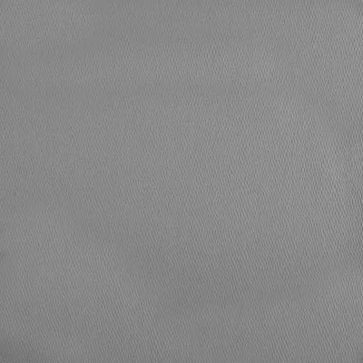Potala Silver swatch
