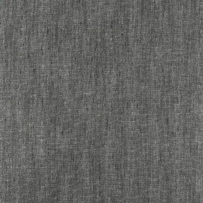 Salem Charcoal swatch