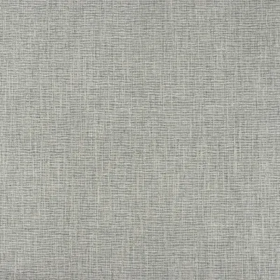 Salem Grey swatch