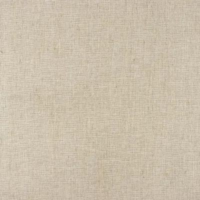 Salem Sand swatch