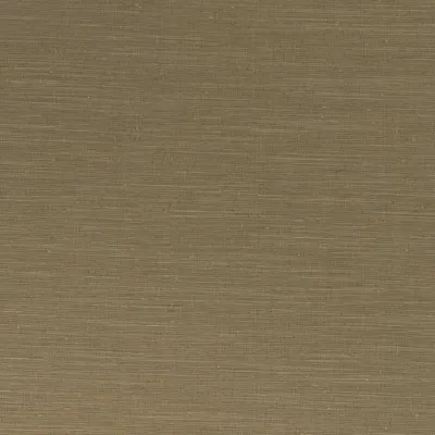 Sari Brass swatch