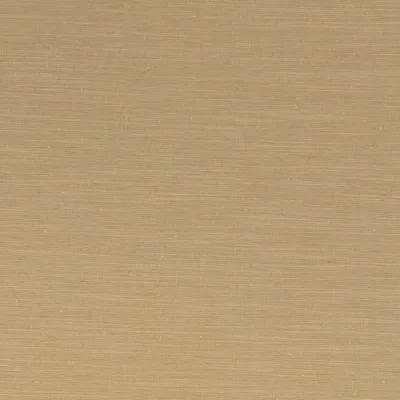 Sari Champagne swatch