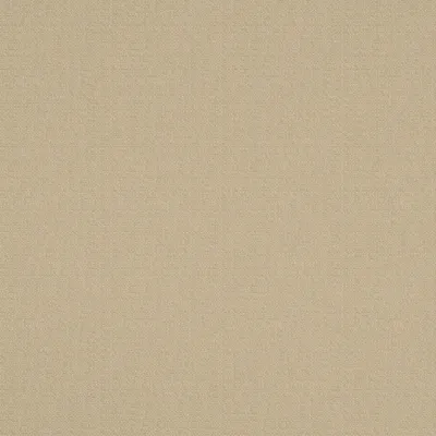 Scribble Champagne swatch