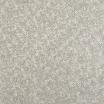 Seagram Ivory - DISCONTINUED swatch