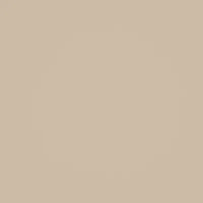 Serena Cashew swatch