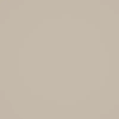 Serena Champagne swatch
