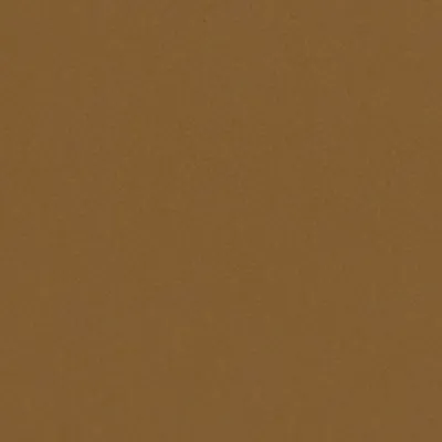Shagreen Camel swatch