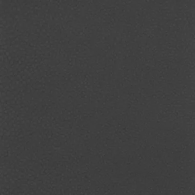 Shagreen Carbon swatch