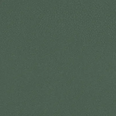 Shagreen Evergreen swatch