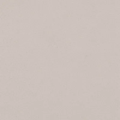 Shagreen Fawn swatch