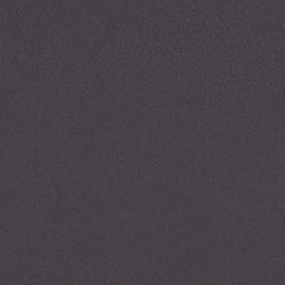 Shagreen Hippo swatch