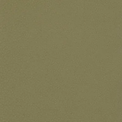 Shagreen Pistachio swatch
