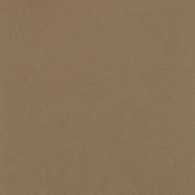 Shagreen Saddle swatch