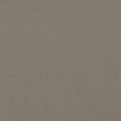 Shagreen Taupe swatch