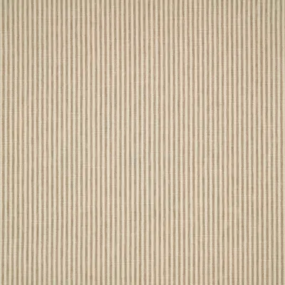 Shoreham Papyrus swatch