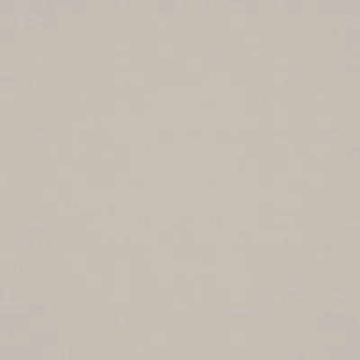 Shuteye Champagne swatch