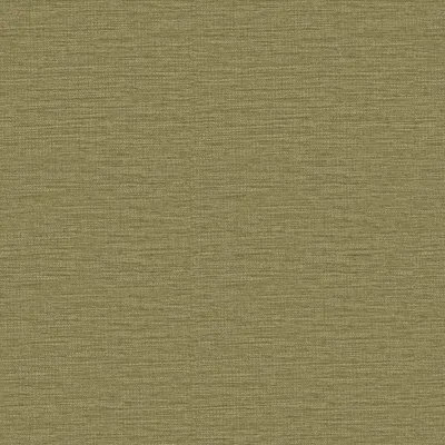 Sketch Olive swatch