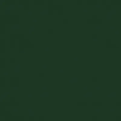 Solaire Evergreen swatch