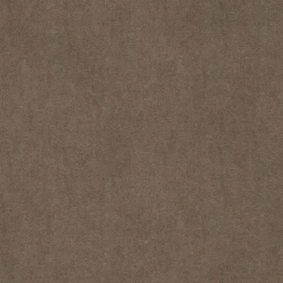 Solna Fossil swatch