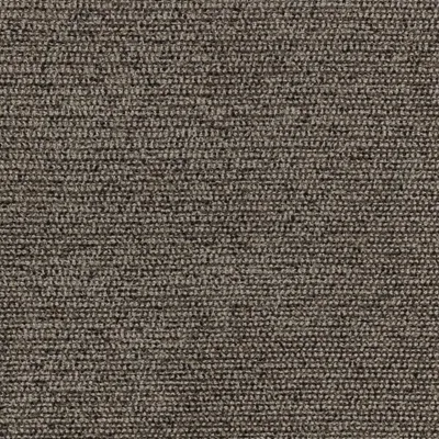 Tufty Racoon swatch
