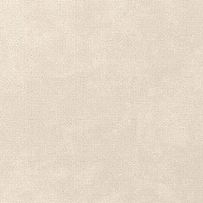 Tuzzi Ivory swatch
