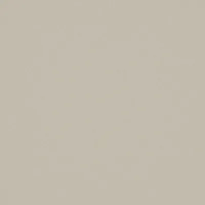Ultra Bone swatch