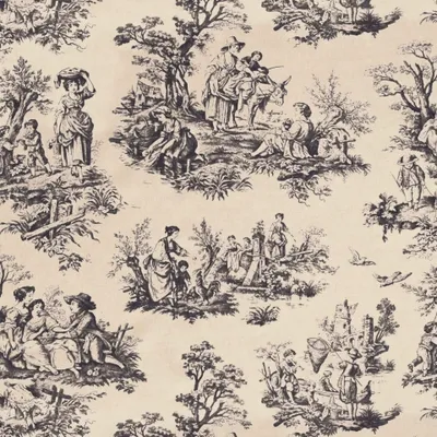 Valencay Toile Charbon swatch