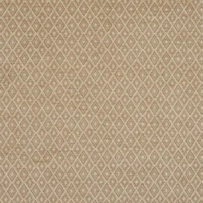 Valois Champagne swatch