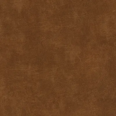 Vaquero Tan - ALSO STOCKED CR5 swatch
