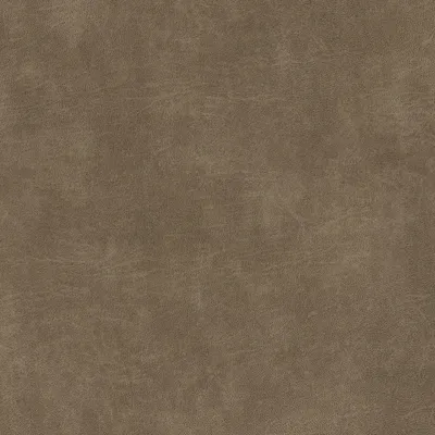 Vaquero Taupe - ALSO STOCKED CR5 swatch