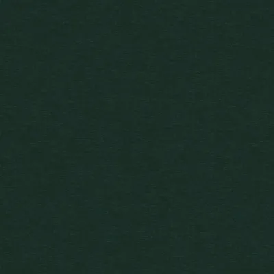 Velluto Viridian - DISCONTINUED swatch