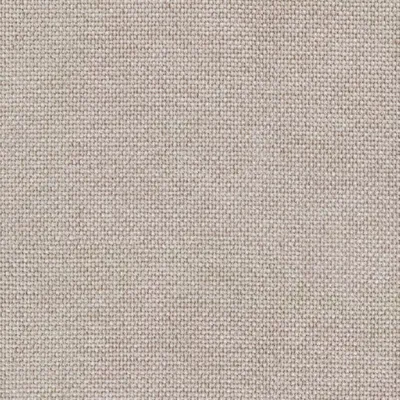 Wacca Bone swatch