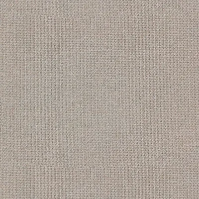 Wacca Natural swatch