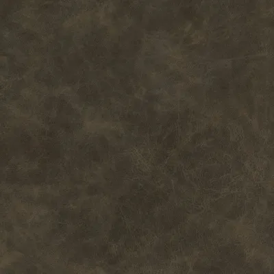 Yellowstone Khaki swatch
