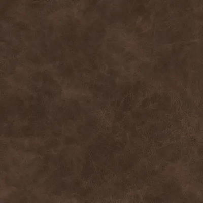 Yellowstone Mocha swatch