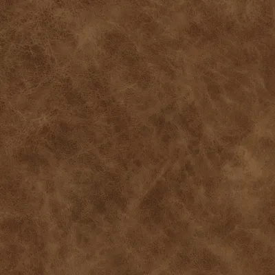 Yellowstone Tan swatch