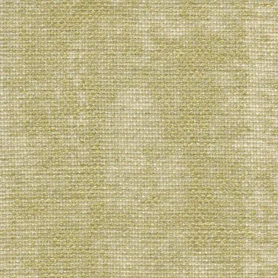Agua 02 Champagne swatch