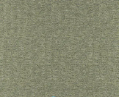 Alberta 25 Lizard swatch