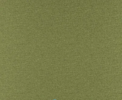 Alberta 29 Palm swatch