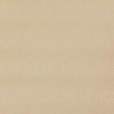Alpine 25 Warm Sand swatch
