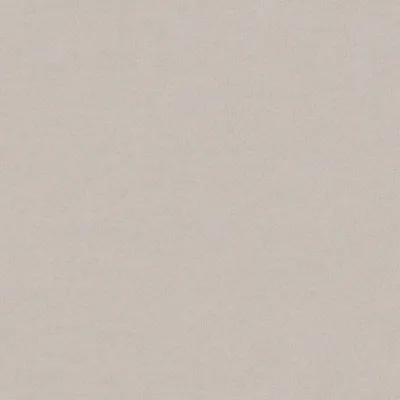 Amur 11 Silver swatch