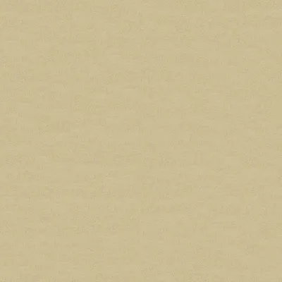 Amur 31 Gold swatch
