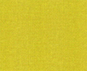 Arden 10 Zest swatch