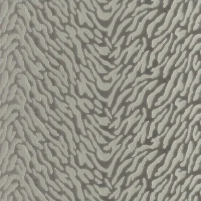 Avilla 12 Feather swatch