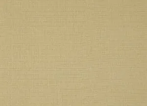 Bainbridge 09 Straw swatch
